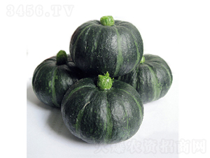 ؐؐ�Gһ̖(h��o)-��ϷN��-�r(n��ng)�ƷN��