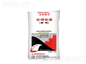 ��������-����T�S-����ʘI(y��)