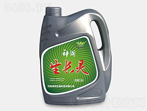 ���L(zh��ng)�`-��(r��n)����