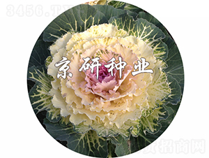 ��ɏ��3̖-���{(l��n)�N��-���зN�I(y��)