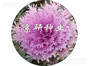 �����2̖-���{(l��n)�N��-���зN�I(y��)