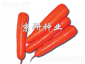 �tо120-���}���N��-���зN�I(y��)