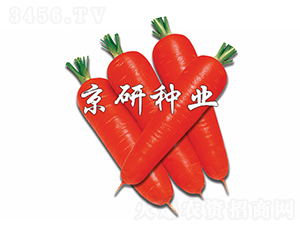 �tо95-���}���N��-���зN�I(y��)