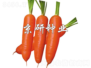 �A�u(y��)228-���}���N��-���зN�I(y��)