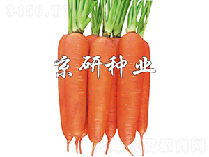 �A�u(y��)258-���}���N��-���зN�I(y��)