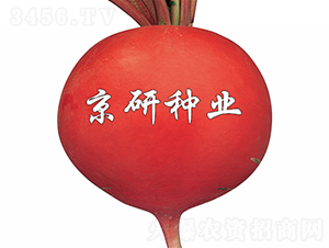 ���t3̖-�}���N��-���зN�I(y��)