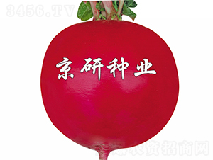 ���t5̖-�}���N��-���зN�I(y��)