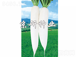 ����1̖-�}���N��-���зN�I(y��)