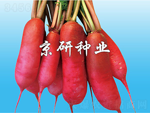 ����ˮ�}��-�}���N��-���зN�I(y��)