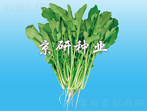 �����~���}��-�}���N��-���зN�I(y��)