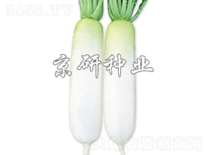 ��������-�}���N��-���зN�I(y��)