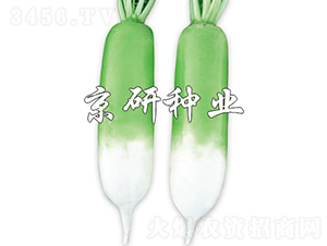 ���оG��-�}���N��-���зN�I(y��)