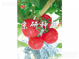 ����102-���ѷN��-���зN�I(y��)