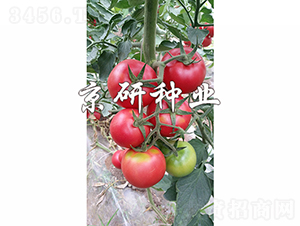 ����301-���ѷN��-���зN�I(y��)