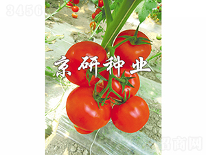 ����601-���ѷN��-���зN�I(y��)