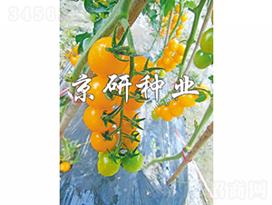 �����S��2̖-���ѷN��-���зN�I(y��)