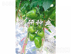 �����в�1̖-���ѷN��-���зN�I(y��)