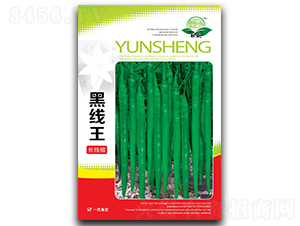 �ھ���-�����N��-��ʢ