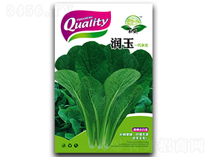 ����-�ײ˷N��-��ʢ