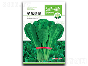 �ǹ��G-�ײ˷N��-��ʢ