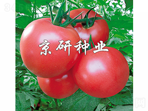 �ɿ�360-���ѷN��-���зN�I(y��)