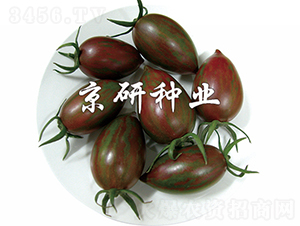 ����3̖-���ѷN��-���зN�I(y��)