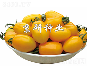 �S�L1̖-���ѷN��-���зN�I(y��)