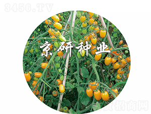 �S�L2̖-���ѷN��-���зN�I(y��)