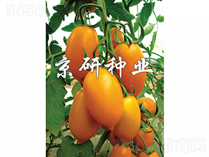 ����-���ѷN��-���зN�I(y��)