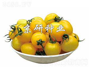 С�S��-���ѷN��-���зN�I(y��)