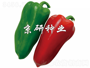 ����101-�����N��-���зN�I(y��)