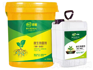 ΢�������-�ݶ��