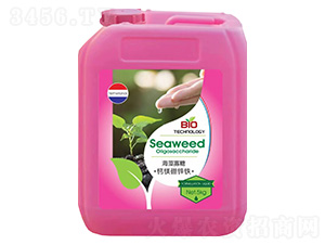 ������ǡ��}�V���\�F-���_��