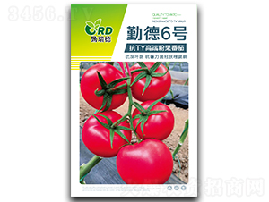 �ڵ�6̖-���ѷN��-�Ƞ��N��