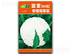 ����65��-��Ҭ�˷N��-�Ƞ�