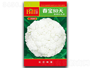 ����80��-��Ҭ�˷N��-�Ƞ�