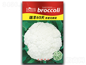 ���S65��-��Ҭ�˷N��-�Ƞ�