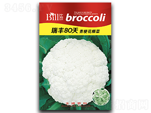 ���S80��-��Ҭ�˷N��-�Ƞ�