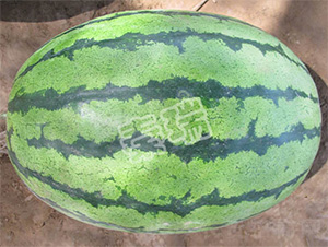 ����(gu��)�ز���-���ϷN��-����