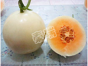 �F��ѩ��-��ϷN��-����