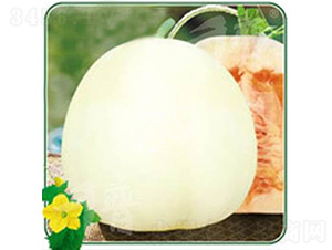 ѩ�۶�̖(h��o)-��ϷN��-����