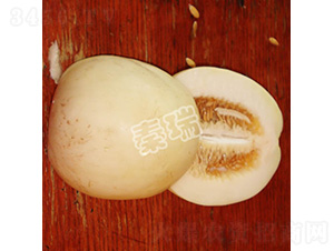 ѩ��һ̖(h��o)-��ϷN��-����