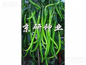 ����410-�����N��-���зN�I(y��)