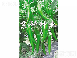 ����1̖-�����N��-���зN�I(y��)