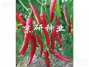 ����102-�����N��-���зN�I(y��)