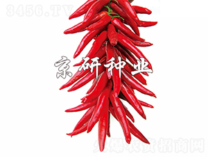 ����2̖-�����N��-���зN�I(y��)