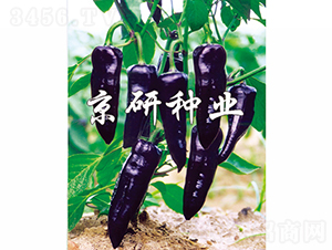 ����-�����N��-���зN�I(y��)