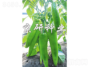 ����910-�����N��-���зN�I(y��)