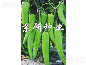 �ٺ�740-�����N��-���зN�I(y��)