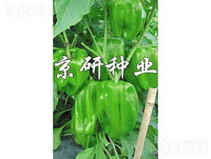 ����514-�����N��-���зN�I(y��)